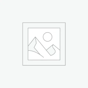 National Team Animal Mascots T-Shirts & Gifts | Vibrant Pride Edition – YMLux